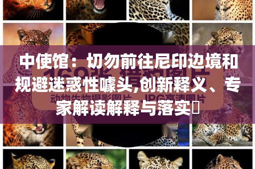 中使館：切勿前往尼印邊境和規(guī)避迷惑性噱頭,創(chuàng)新釋義、專家解讀解釋與落實(shí)?