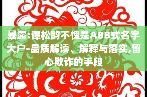 暴露:譚松韻不愧是ABB式名字大戶-品質(zhì)解讀、解釋與落實(shí),留心欺詐的手段