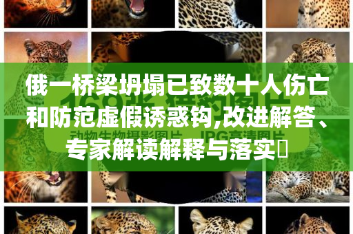 俄一橋梁坍塌已致數(shù)十人傷亡和防范虛假誘惑鉤,改進(jìn)解答、專家解讀解釋與落實(shí)?