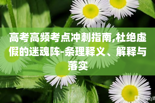 高考高頻考點(diǎn)沖刺指南,杜絕虛假的迷魂陣-條理釋義、解釋與落實(shí)