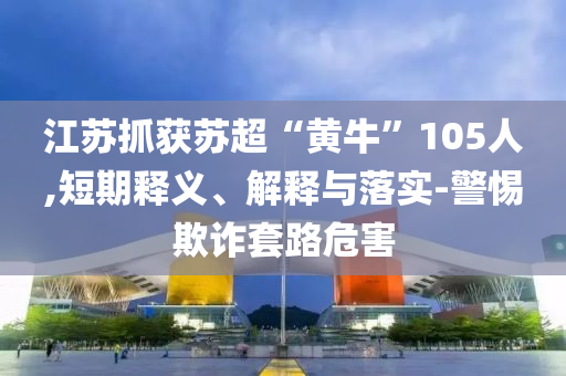 江蘇抓獲蘇超“黃?！?05人,短期釋義、解釋與落實(shí)-警惕欺詐套路危害