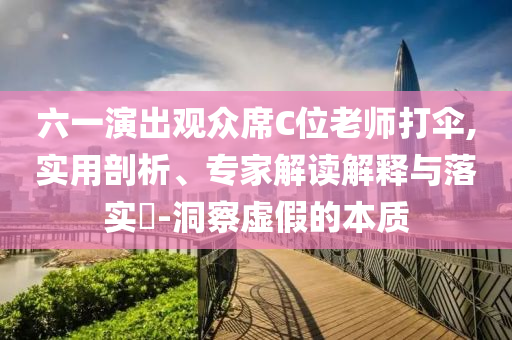 六一演出觀眾席C位老師打傘,實(shí)用剖析、專家解讀解釋與落實(shí)?-洞察虛假的本質(zhì)