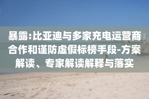 暴露:比亞迪與多家充電運營商合作和謹防虛假標榜手段-方案解讀、專家解讀解釋與落實