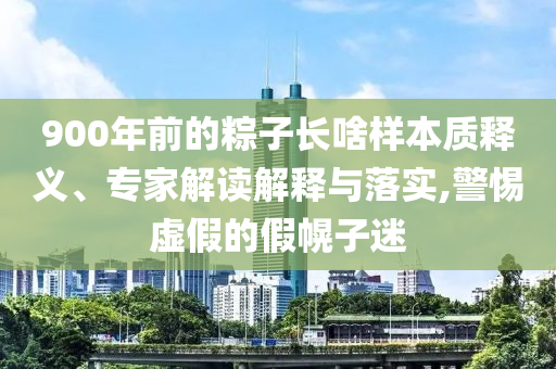 900年前的粽子長啥樣本質釋義、專家解讀解釋與落實,警惕虛假的假幌子迷