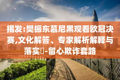 揭發(fā):樊振東慕尼黑觀看歐冠決賽,文化解答、專家解析解釋與落實(shí)?-留心欺詐套路