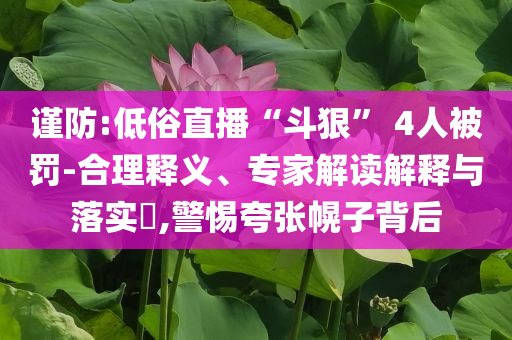 謹防:低俗直播“斗狠” 4人被罰-合理釋義、專家解讀解釋與落實?,警惕夸張幌子背后