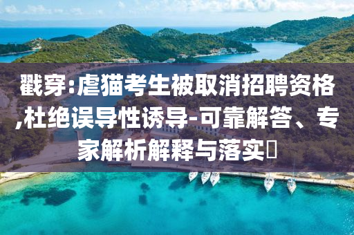戳穿:虐貓考生被取消招聘資格,杜絕誤導(dǎo)性誘導(dǎo)-可靠解答、專家解析解釋與落實?