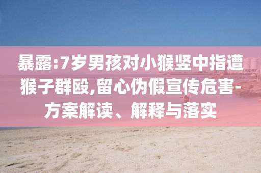 暴露:7歲男孩對(duì)小猴豎中指遭猴子群毆,留心偽假宣傳危害-方案解讀、解釋與落實(shí)
