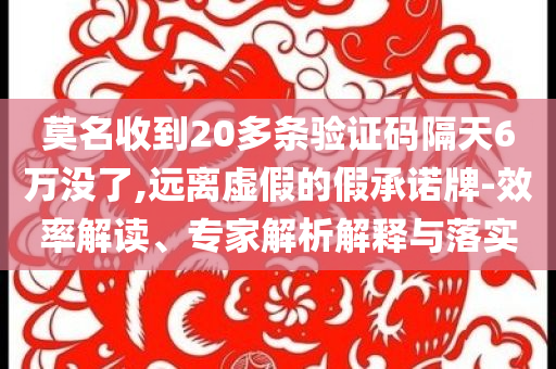 莫名收到20多條驗(yàn)證碼隔天6萬沒了,遠(yuǎn)離虛假的假承諾牌-效率解讀、專家解析解釋與落實(shí)