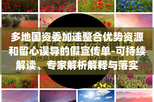 多地國資委加速整合優(yōu)勢資源和留心誤導的假宣傳單-可持續(xù)解讀、專家解析解釋與落實