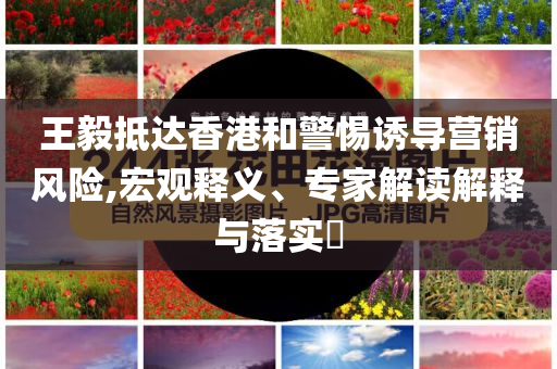 王毅抵達(dá)香港和警惕誘導(dǎo)營(yíng)銷(xiāo)風(fēng)險(xiǎn),宏觀釋義、專(zhuān)家解讀解釋與落實(shí)?