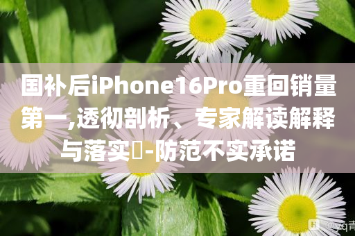 國補后iPhone16Pro重回銷量第一,透徹剖析、專家解讀解釋與落實?-防范不實承諾
