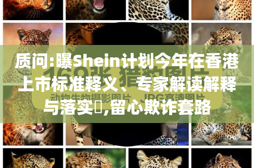 質(zhì)問:曝Shein計(jì)劃今年在香港上市標(biāo)準(zhǔn)釋義、專家解讀解釋與落實(shí)?,留心欺詐套路
