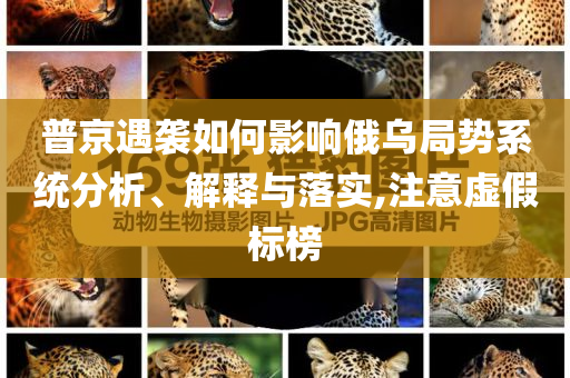 普京遇襲如何影響俄烏局勢(shì)系統(tǒng)分析、解釋與落實(shí),注意虛假標(biāo)榜