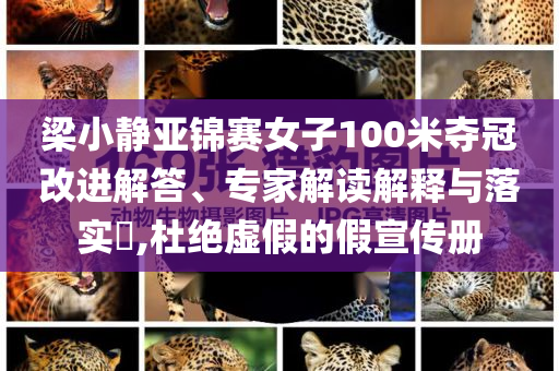 梁小靜亞錦賽女子100米奪冠改進(jìn)解答、專(zhuān)家解讀解釋與落實(shí)?,杜絕虛假的假宣傳冊(cè)