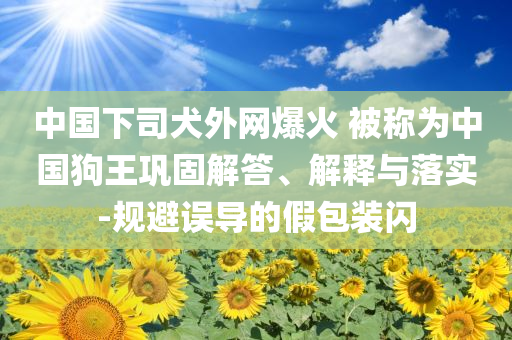 中國(guó)下司犬外網(wǎng)爆火 被稱為中國(guó)狗王鞏固解答、解釋與落實(shí)-規(guī)避誤導(dǎo)的假包裝閃