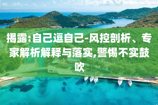 揭露:自己逗自己-風(fēng)控剖析、專家解析解釋與落實(shí),警惕不實(shí)鼓吹