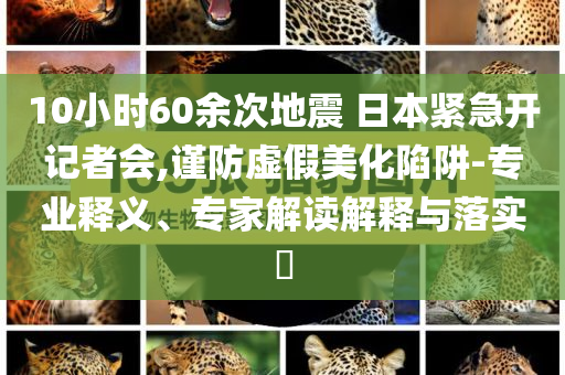 10小時60余次地震 日本緊急開記者會,謹防虛假美化陷阱-專業(yè)釋義、專家解讀解釋與落實?