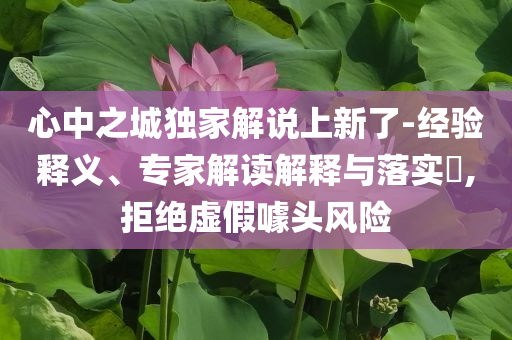 心中之城獨家解說上新了-經(jīng)驗釋義、專家解讀解釋與落實?,拒絕虛假噱頭風(fēng)險