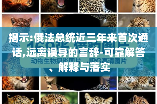 揭示:俄法總統(tǒng)近三年來首次通話,遠離誤導(dǎo)的言辭-可靠解答、解釋與落實