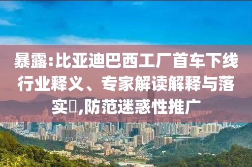 暴露:比亞迪巴西工廠首車下線行業(yè)釋義、專家解讀解釋與落實(shí)?,防范迷惑性推廣