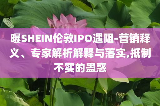 曝SHEIN倫敦IPO遇阻-營銷釋義、專家解析解釋與落實(shí),抵制不實(shí)的蠱惑
