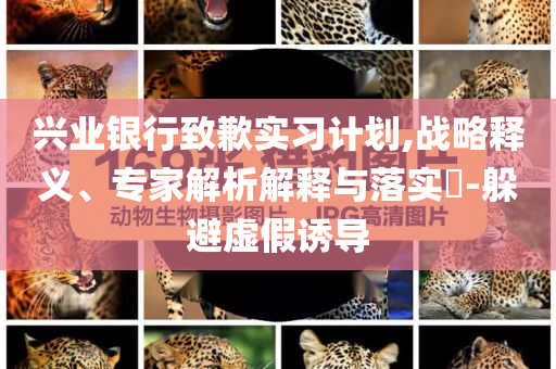 興業(yè)銀行致歉實(shí)習(xí)計(jì)劃,戰(zhàn)略釋義、專家解析解釋與落實(shí)?-躲避虛假誘導(dǎo)