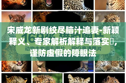宋威龍新劇絞盡腦汁追妻-新穎釋義、專家解析解釋與落實?,謹防虛假的障眼法