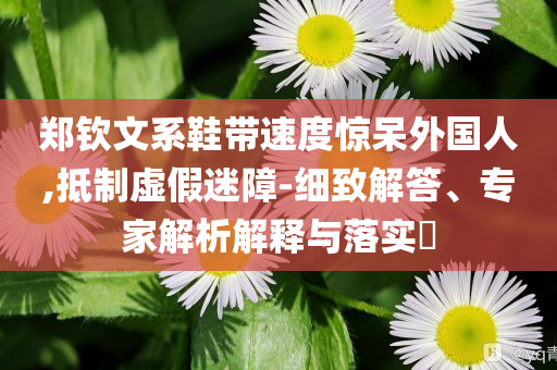 鄭欽文系鞋帶速度驚呆外國人,抵制虛假迷障-細(xì)致解答、專家解析解釋與落實?