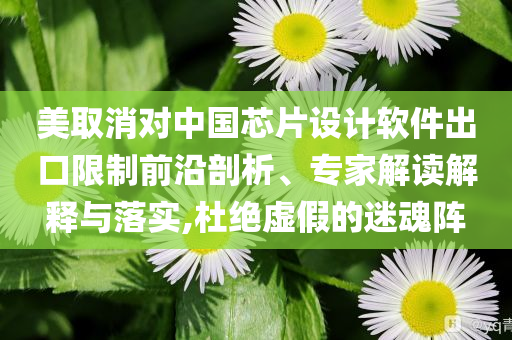 美取消對(duì)中國(guó)芯片設(shè)計(jì)軟件出口限制前沿剖析、專家解讀解釋與落實(shí),杜絕虛假的迷魂陣