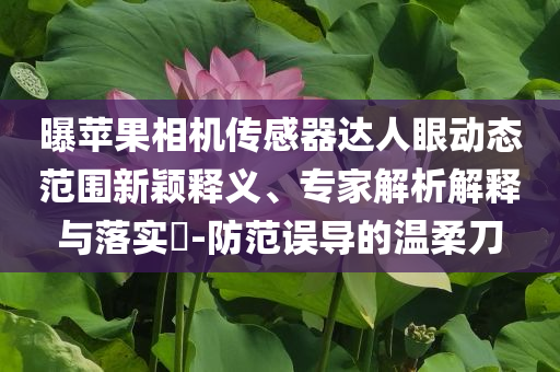 曝蘋果相機(jī)傳感器達(dá)人眼動(dòng)態(tài)范圍新穎釋義、專家解析解釋與落實(shí)?-防范誤導(dǎo)的溫柔刀