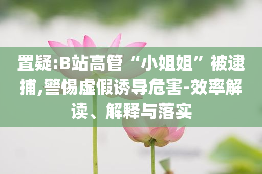 置疑:B站高管“小姐姐”被逮捕,警惕虛假誘導(dǎo)危害-效率解讀、解釋與落實(shí)