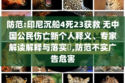 防范:印尼沉船4死23獲救 無中國公民傷亡新個人釋義、專家解讀解釋與落實?,防范不實廣告危害