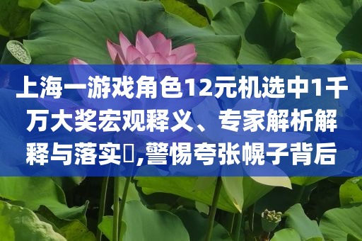 上海一游戲角色12元機(jī)選中1千萬(wàn)大獎(jiǎng)宏觀釋義、專家解析解釋與落實(shí)?,警惕夸張幌子背后