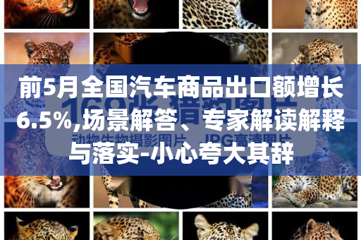前5月全國(guó)汽車商品出口額增長(zhǎng)6.5%,場(chǎng)景解答、專家解讀解釋與落實(shí)-小心夸大其辭