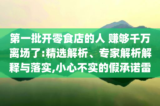 第一批開(kāi)零食店的人 賺夠千萬(wàn)離場(chǎng)了:精選解析、專家解析解釋與落實(shí),小心不實(shí)的假承諾雷