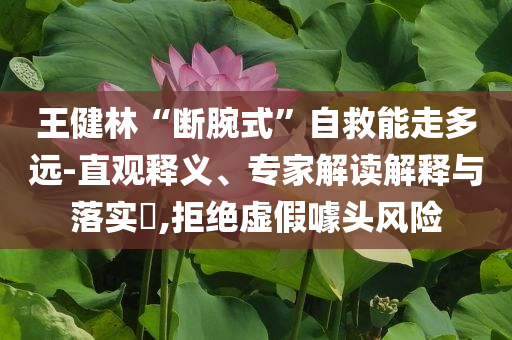王健林“斷腕式”自救能走多遠(yuǎn)-直觀釋義、專家解讀解釋與落實(shí)?,拒絕虛假噱頭風(fēng)險