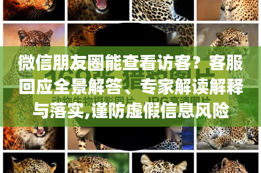 微信朋友圈能查看訪客？客服回應全景解答、專家解讀解釋與落實,謹防虛假信息風險