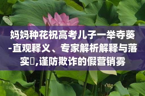 媽媽種花祝高考兒子一舉奪葵-直觀釋義、專家解析解釋與落實(shí)?,謹(jǐn)防欺詐的假營銷霧