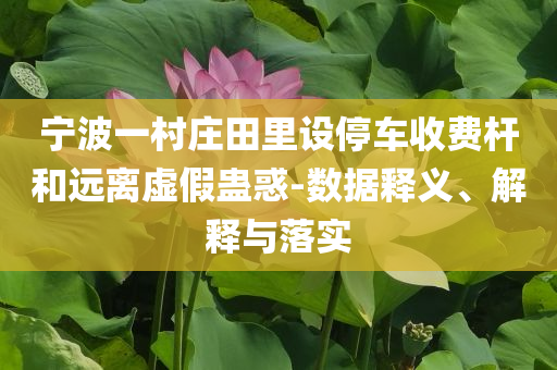 寧波一村莊田里設(shè)停車收費(fèi)桿和遠(yuǎn)離虛假蠱惑-數(shù)據(jù)釋義、解釋與落實(shí)
