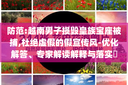 防范:越南男子損毀皇族寶座被捕,杜絕虛假的假宣傳風(fēng)-優(yōu)化解答、專家解讀解釋與落實(shí)?
