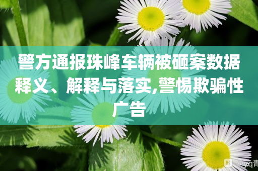 警方通報(bào)珠峰車輛被砸案數(shù)據(jù)釋義、解釋與落實(shí),警惕欺騙性廣告