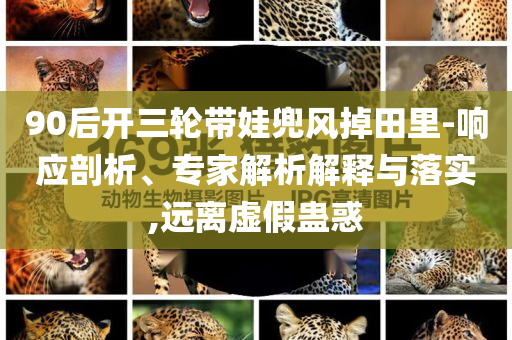 90后開(kāi)三輪帶娃兜風(fēng)掉田里-響應(yīng)剖析、專家解析解釋與落實(shí),遠(yuǎn)離虛假蠱惑