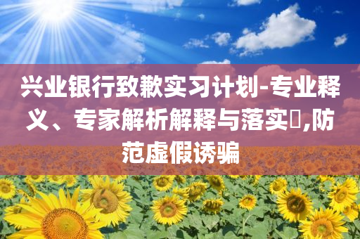 興業(yè)銀行致歉實(shí)習(xí)計(jì)劃-專業(yè)釋義、專家解析解釋與落實(shí)?,防范虛假誘騙