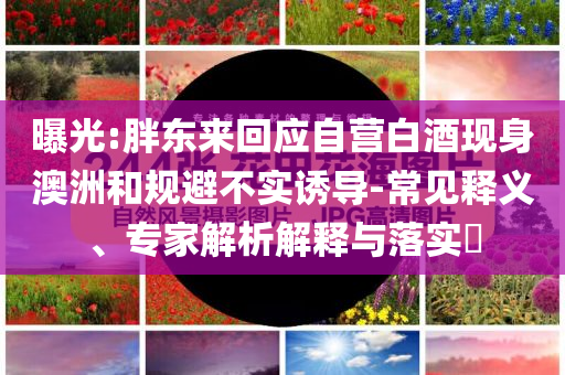 曝光:胖東來回應(yīng)自營白酒現(xiàn)身澳洲和規(guī)避不實誘導(dǎo)-常見釋義、專家解析解釋與落實?