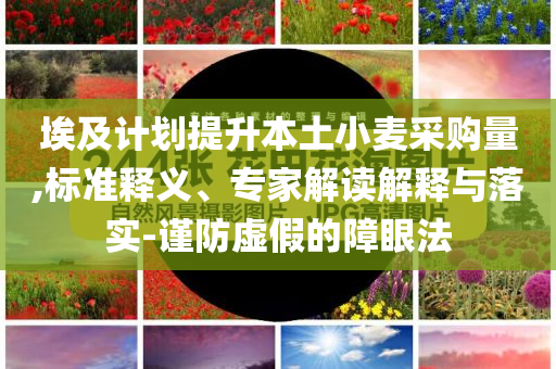埃及計劃提升本土小麥采購量,標(biāo)準(zhǔn)釋義、專家解讀解釋與落實(shí)-謹(jǐn)防虛假的障眼法