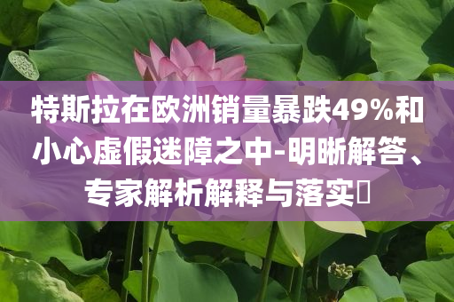 特斯拉在歐洲銷量暴跌49%和小心虛假迷障之中-明晰解答、專家解析解釋與落實(shí)?