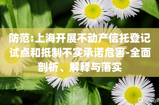 防范:上海開展不動產(chǎn)信托登記試點(diǎn)和抵制不實(shí)承諾危害-全面剖析、解釋與落實(shí)