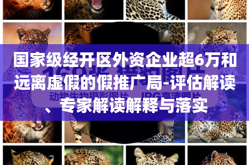 國家級經(jīng)開區(qū)外資企業(yè)超6萬和遠(yuǎn)離虛假的假推廣局-評估解讀、專家解讀解釋與落實(shí)
