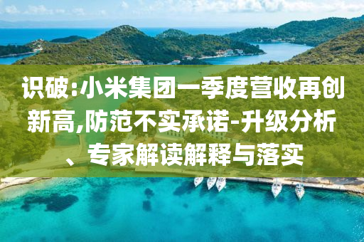 識破:小米集團一季度營收再創(chuàng)新高,防范不實承諾-升級分析、專家解讀解釋與落實